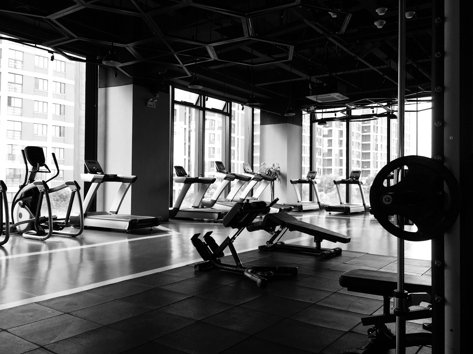 Best Caffeine For Workouts Supplements, Ranked