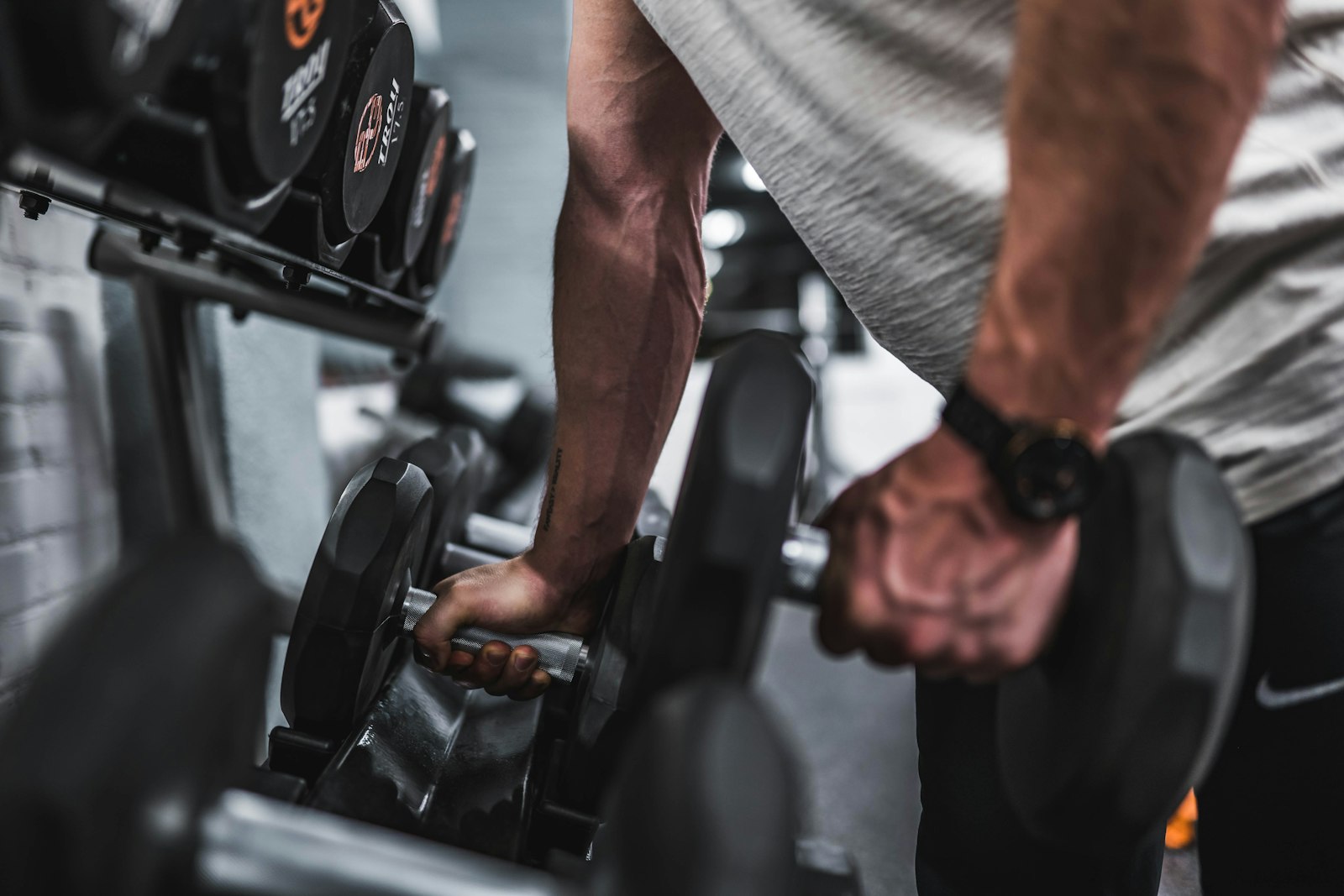 Best Pull-Up Bars for Home