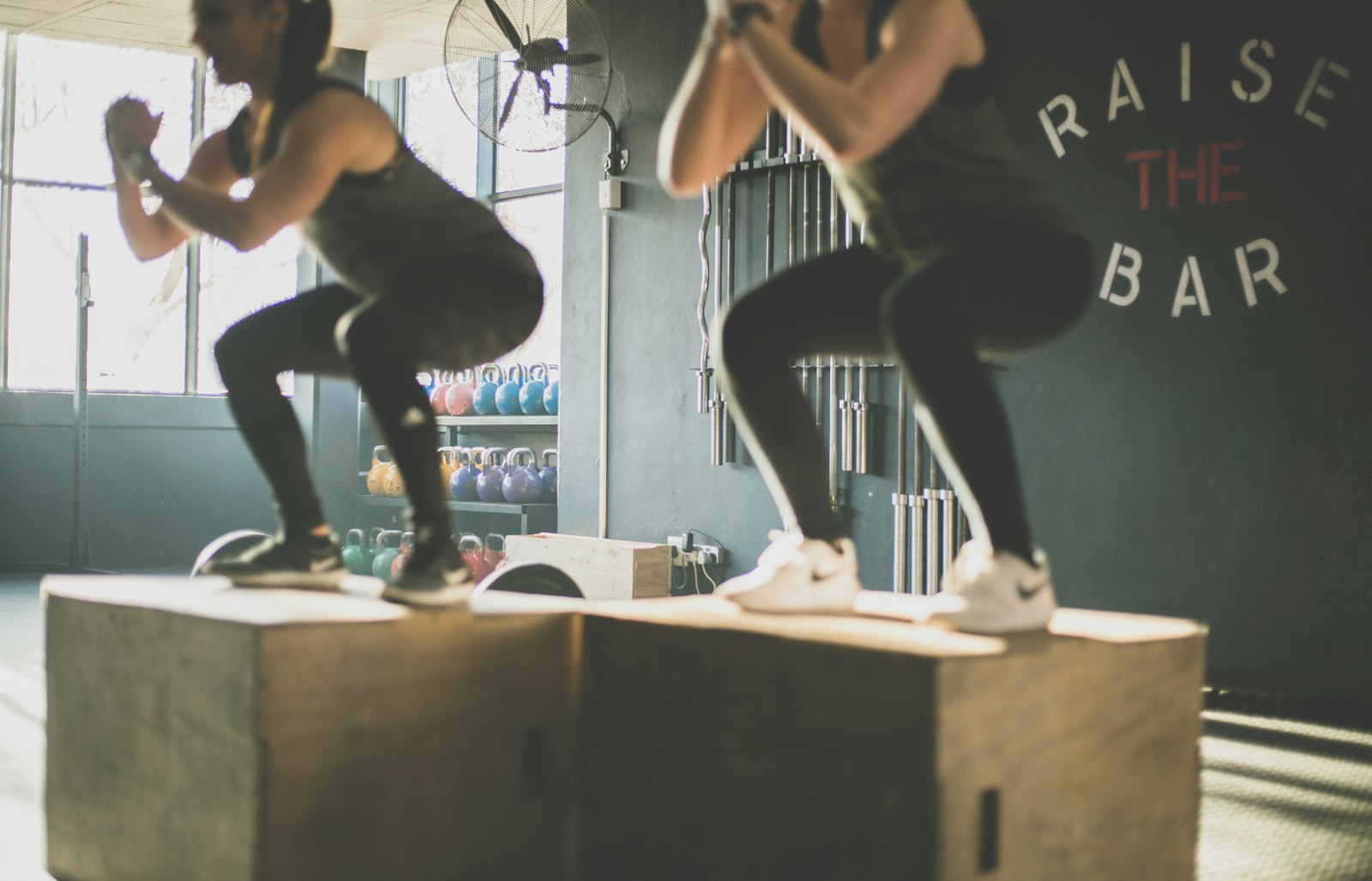 Best Pull-Up Bars for Home
